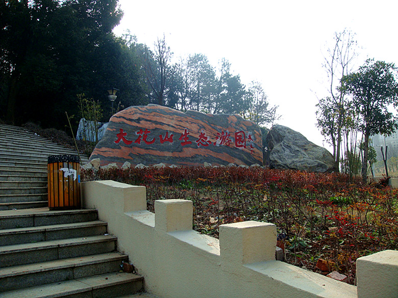 dsc03017_.jpg
