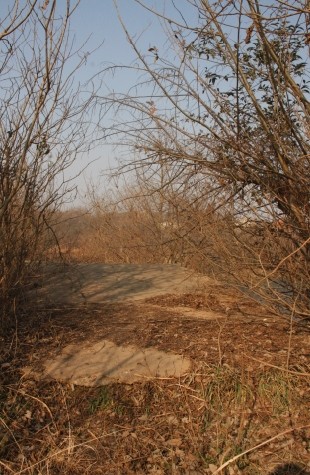 05.jpg