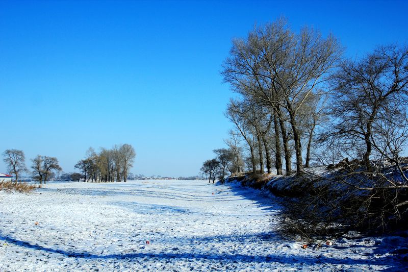 img_6887.jpg