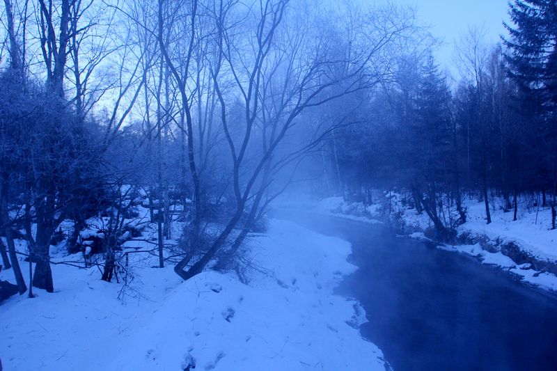 img_6999.jpg