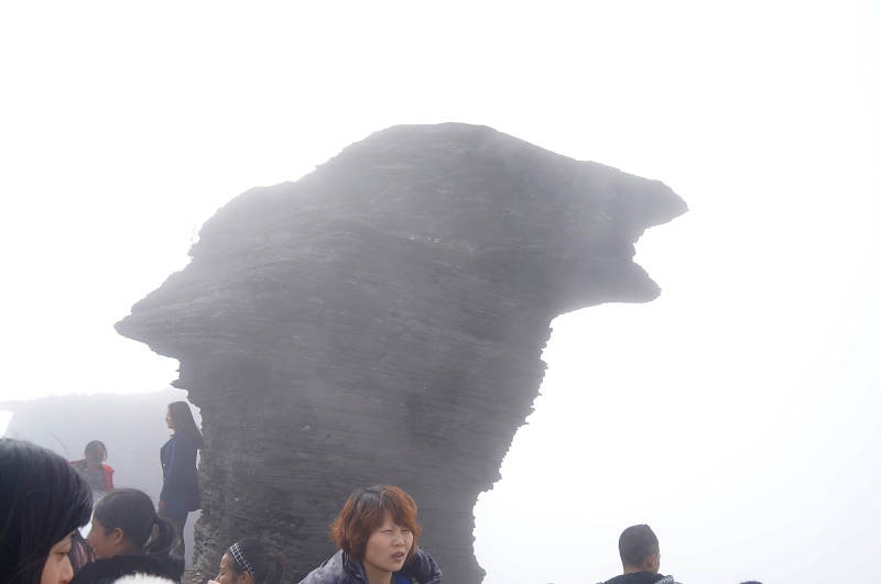 dsc03783.jpg