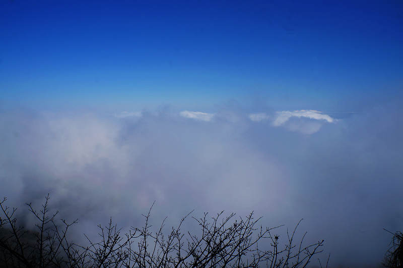 dsc03827.jpg