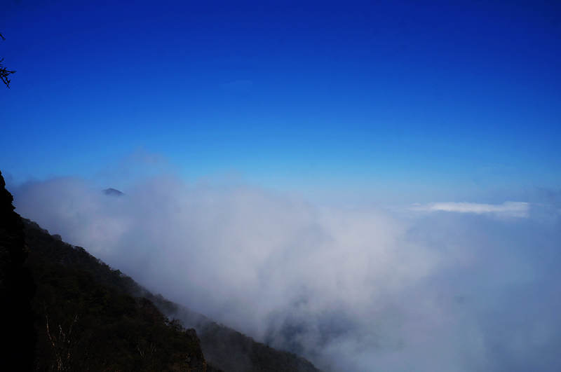 dsc03828.jpg