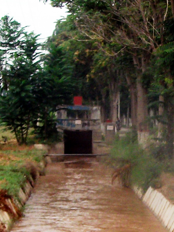dscf0043.jpg
