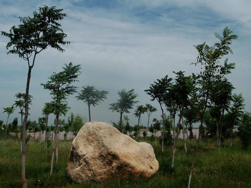dscf0044.jpg
