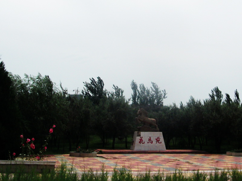 dscf0049.jpg
