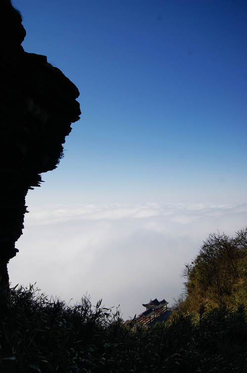 dsc07562.jpg