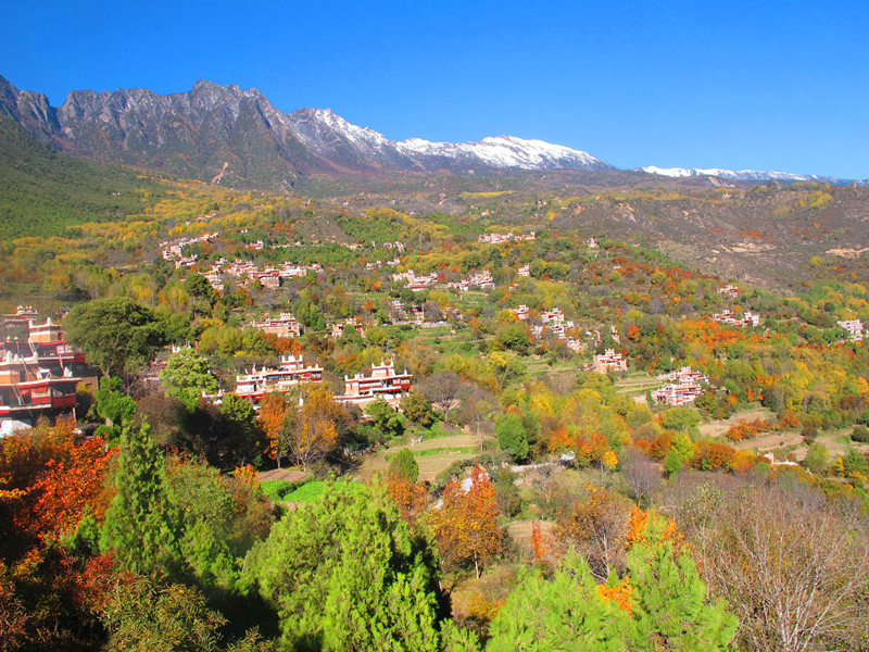 20131106׾Ӳկ1.jpg