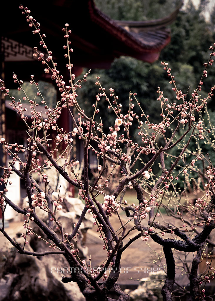 p2184728.jpg