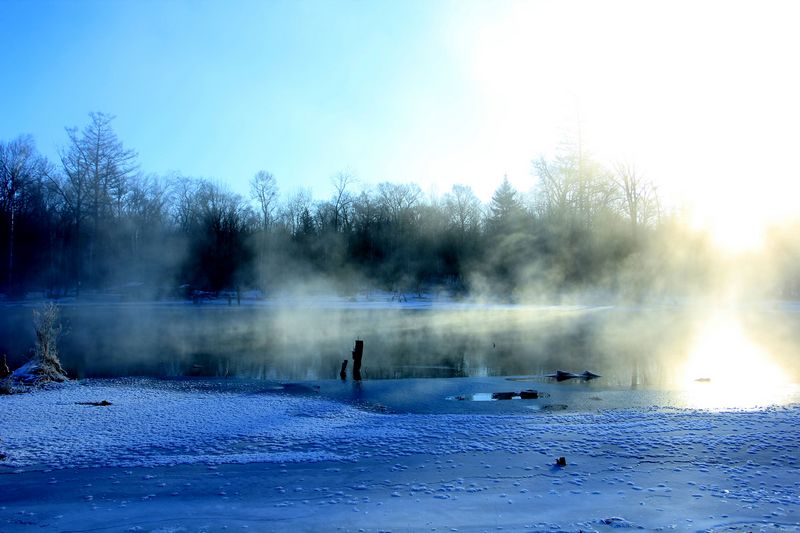 img_7474.jpg