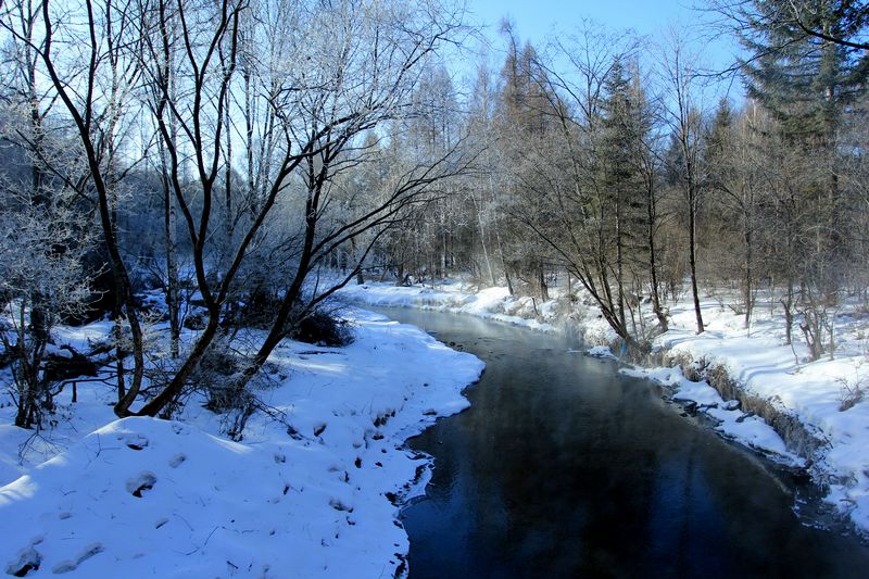 img_7700.jpg