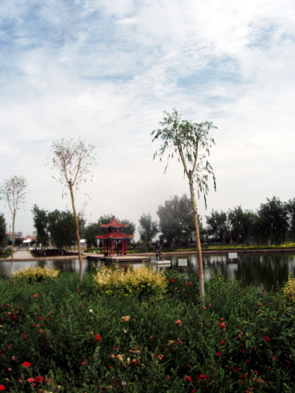 dscf0072.jpg