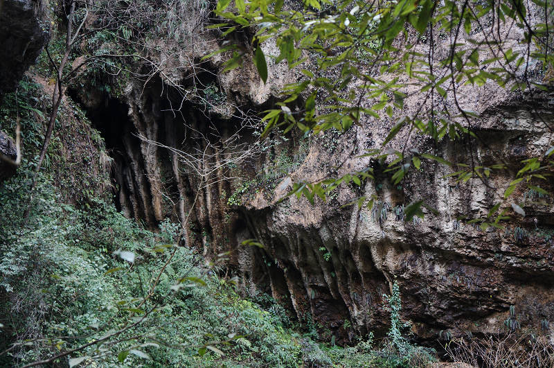 dsc03913.jpg