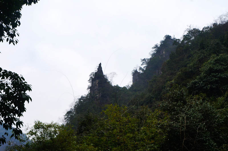 dsc03914.jpg