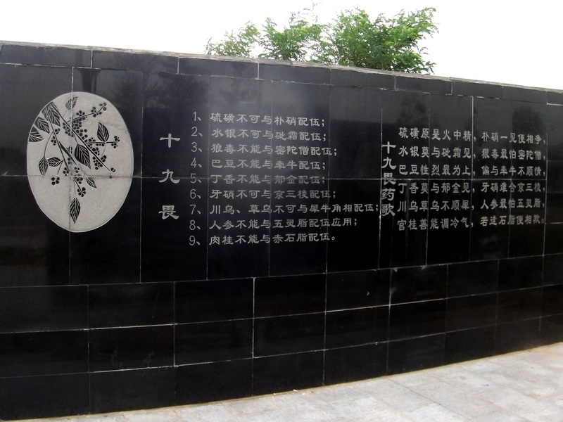 dscf0093.jpg