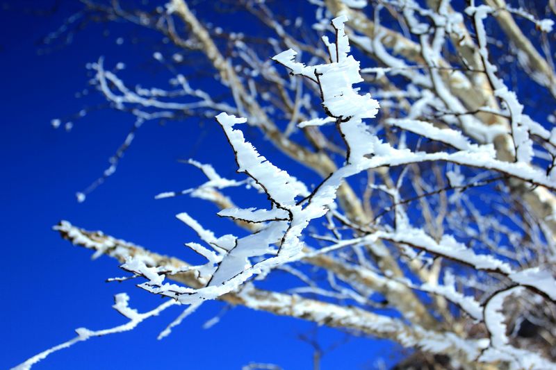 img_7790.jpg