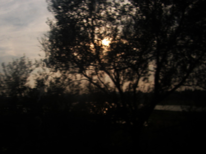 dscf0112.jpg