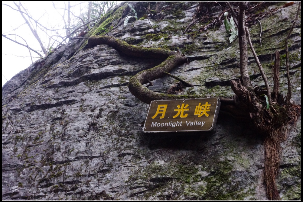 簲ʯ8.jpg
