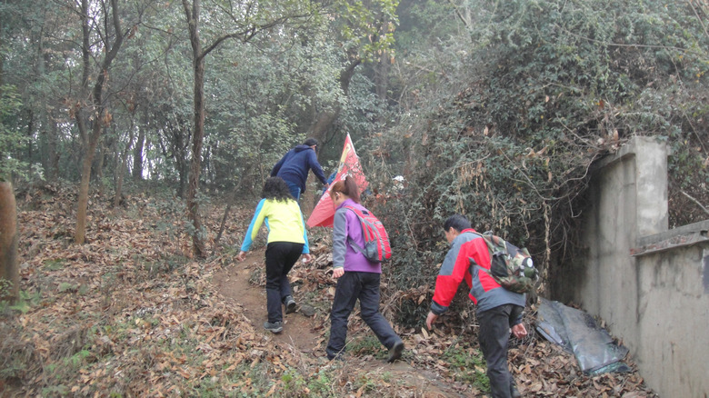 dsc09694.jpg