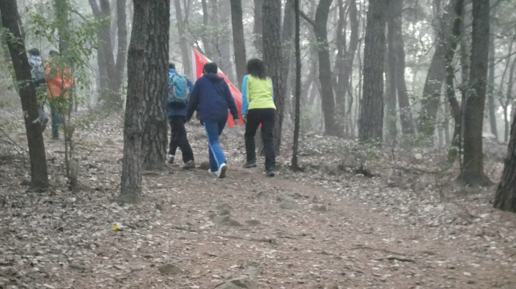 dsc09696.jpg