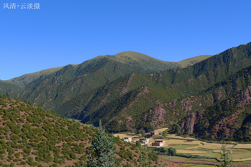 p1030363.jpg