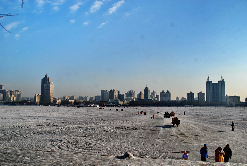 dsc_3120.jpg