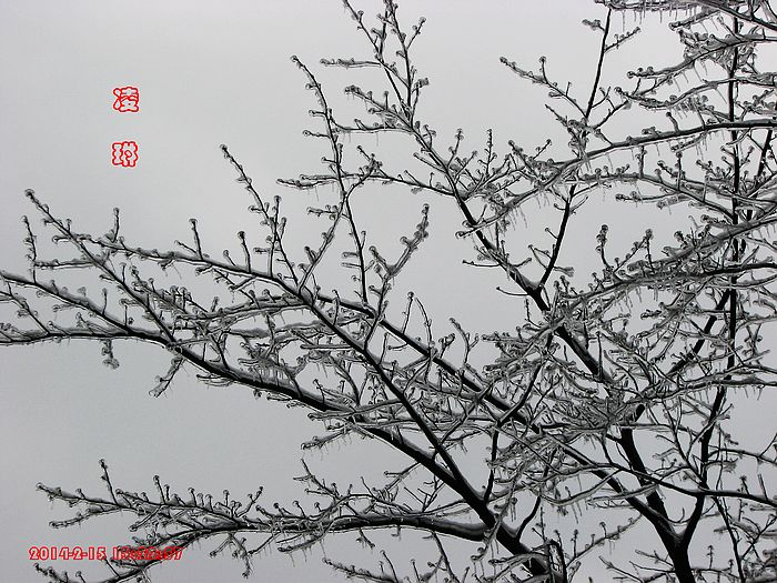 ɽ羰 (27).jpg