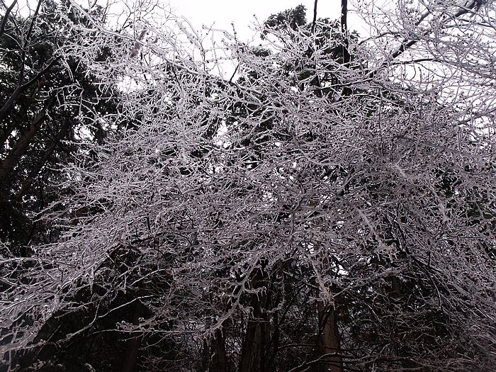 Ƭ 038.jpg