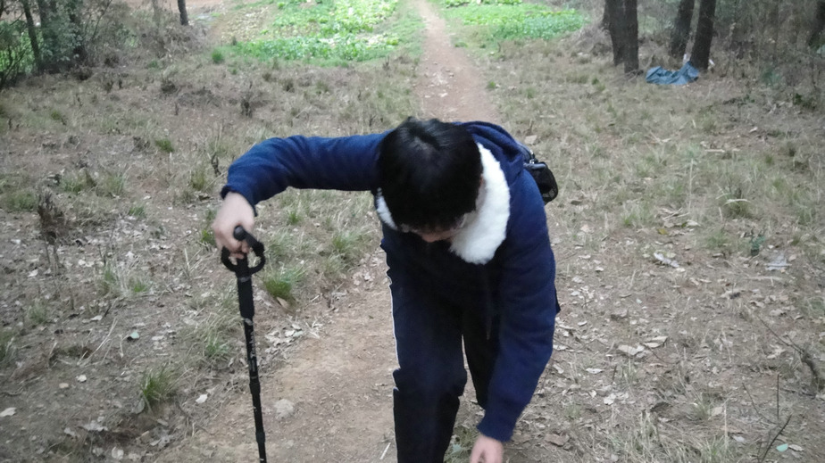 dsc00079.jpg