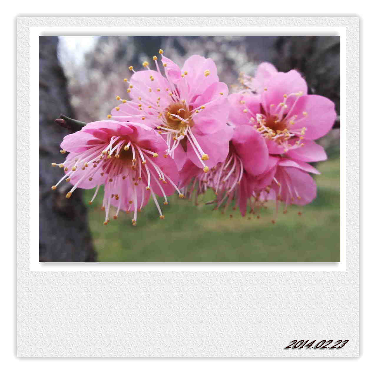 20140223_164500.jpg