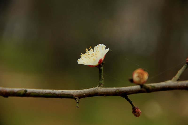 img_1126.jpg