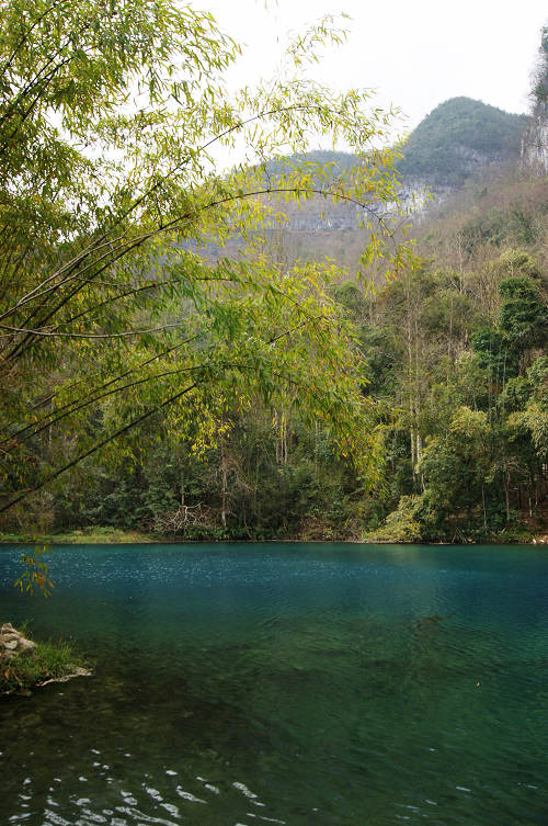 dsc08048.jpg