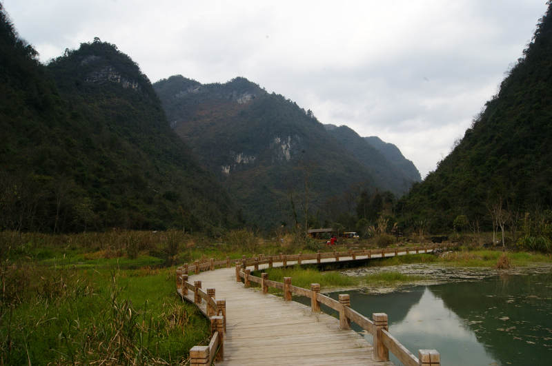 dsc08123.jpg