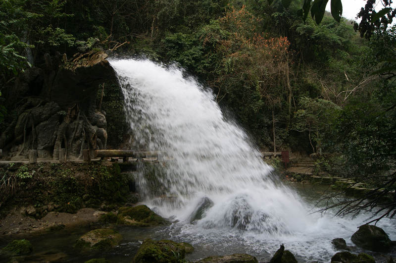 dsc08213.jpg