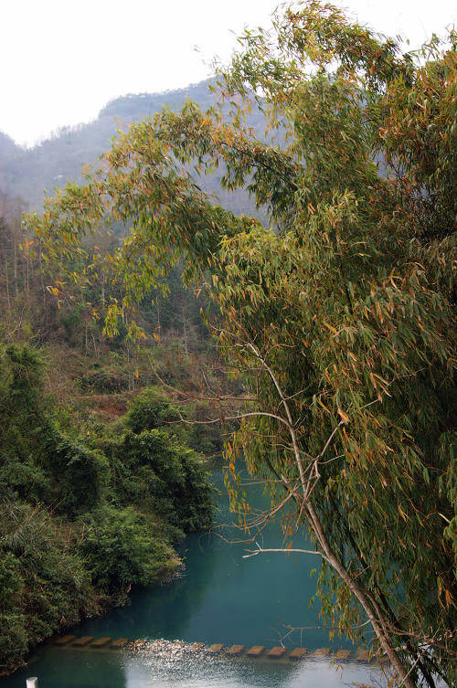 dsc08224.jpg