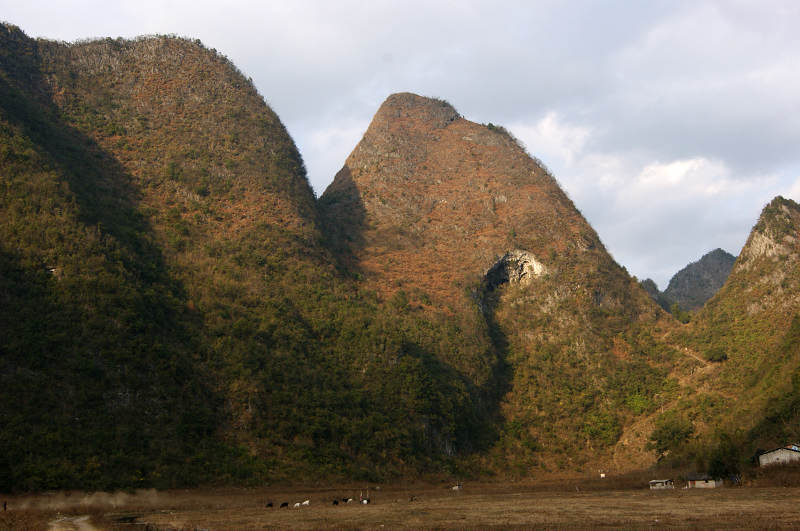 dsc08290.jpg