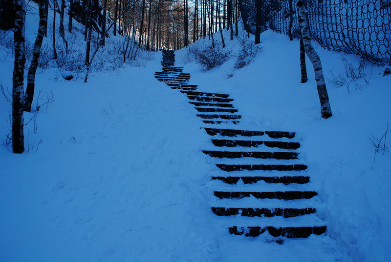 dsc_3341.jpg