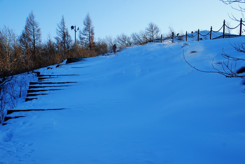 dsc_3379.jpg