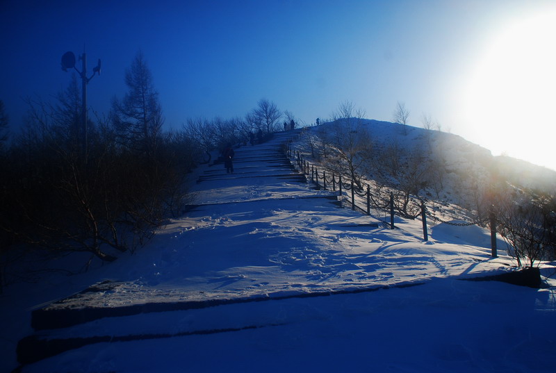 dsc_3384.jpg