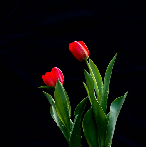 img_3899_СС.jpg