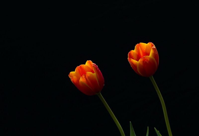 img_3975_СС.jpg