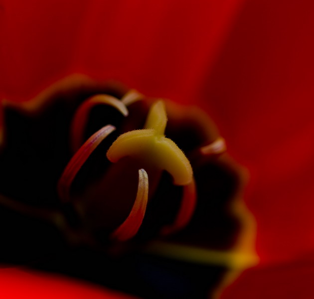 img_4074_СС.jpg