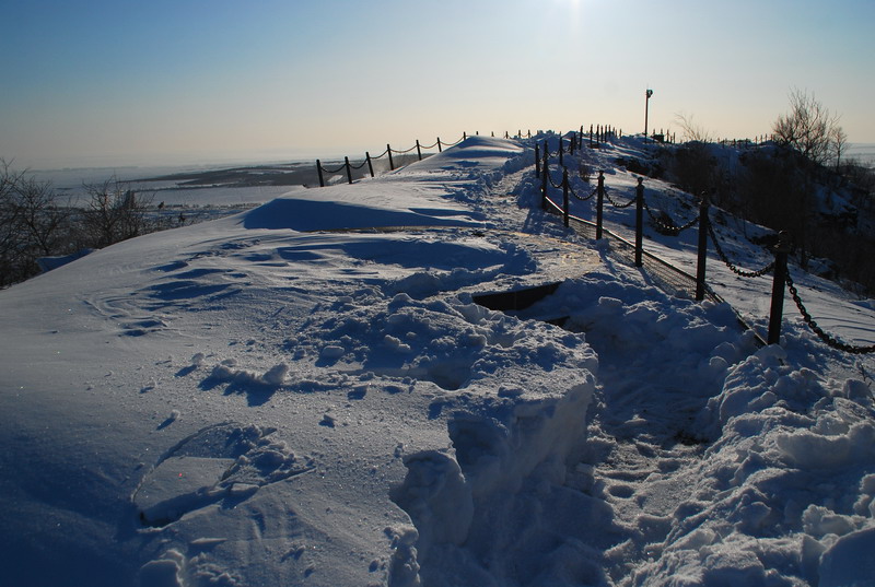 dsc_3395.jpg