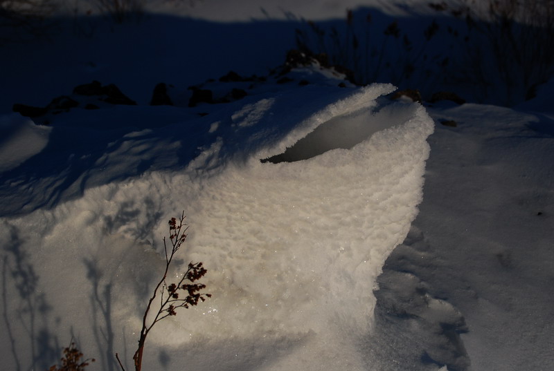 dsc_3437.jpg