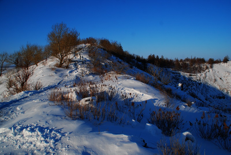 dsc_3453.jpg
