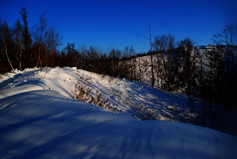 dsc_3480.jpg