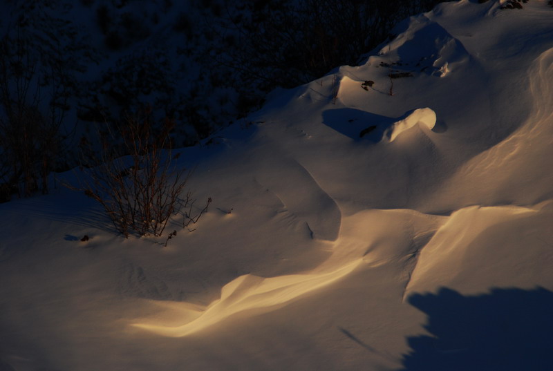 dsc_3534.jpg