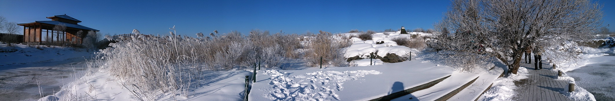 pano_20140205_091500.jpg