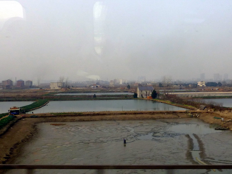 p1170530.jpg