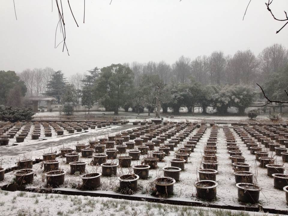 qqͼƬ20140209085714.jpg